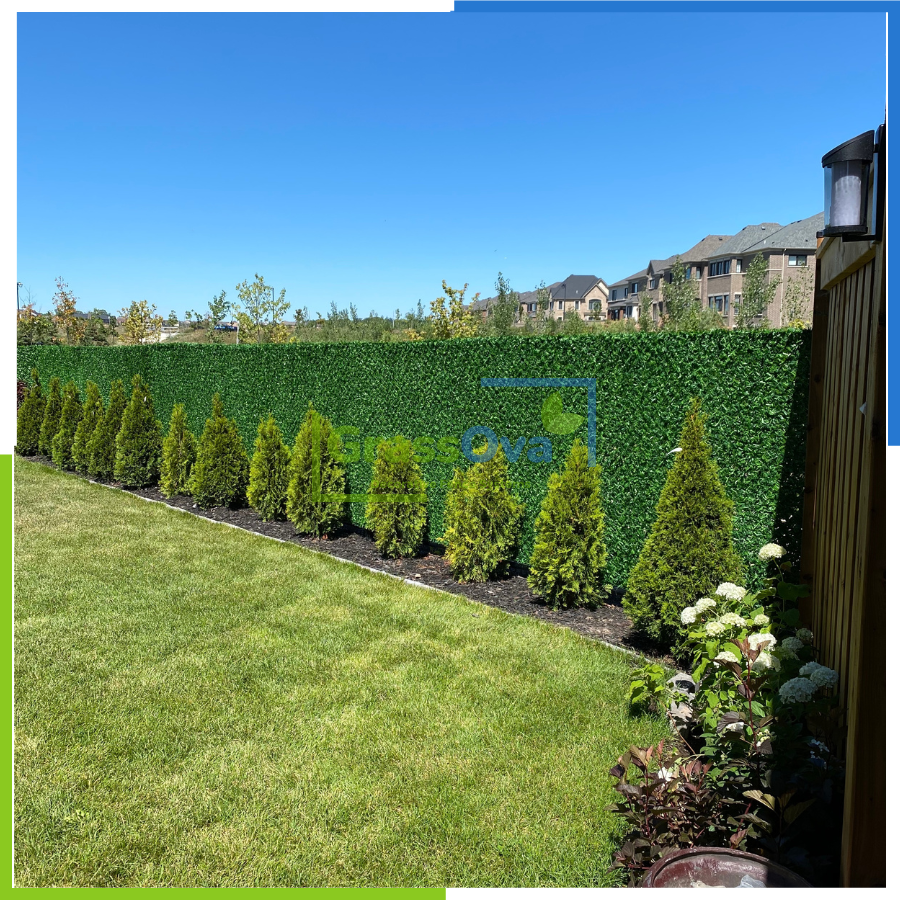 Chain Link Fence (Milton)